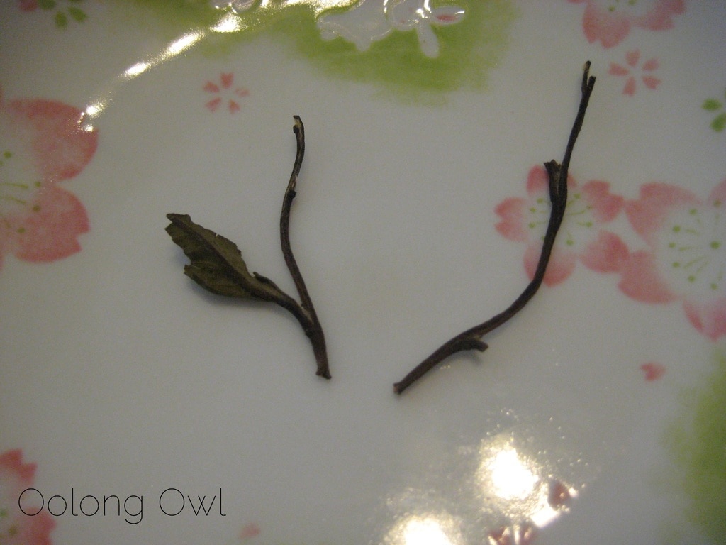 Coconut Grove from SteepCityTeas - Oolong Owl Tea Review (5)