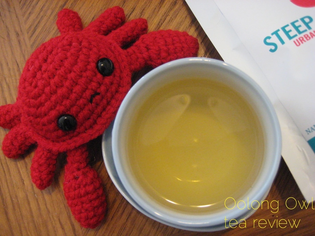Ginger Zinger from Steep City Tea - Oolong Owl Tea Review (6)