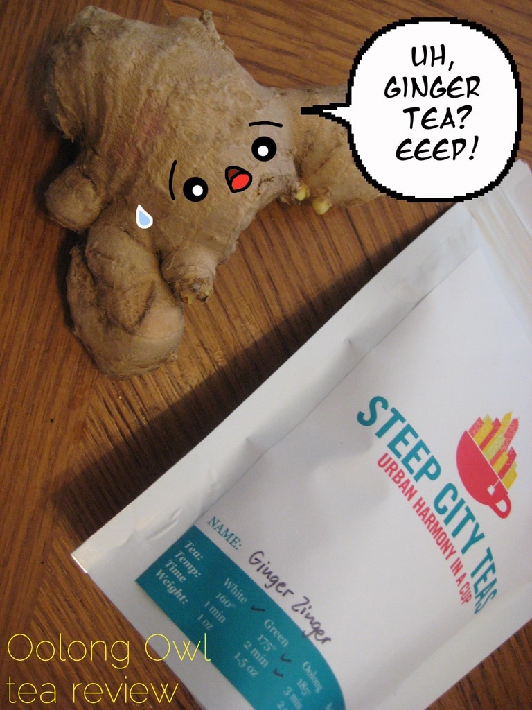 Ginger Zinger from Steep City Tea - Oolong Owl Tea Review (7)