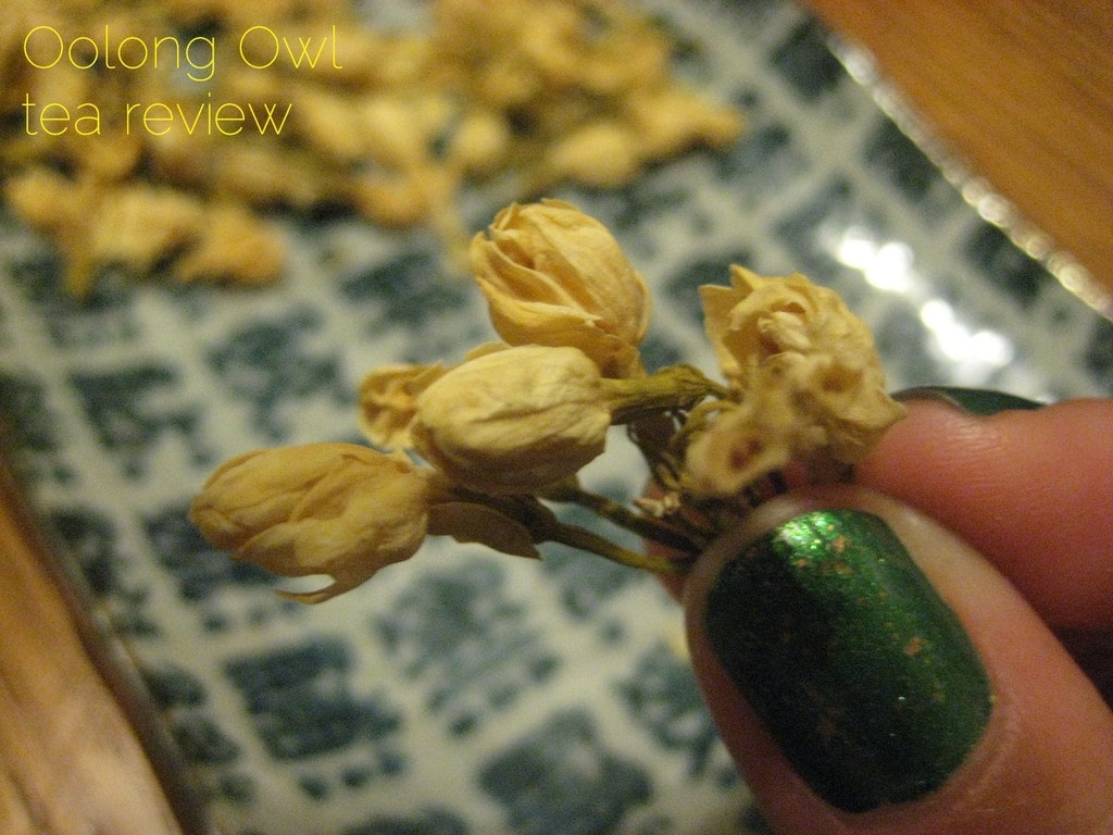 Jasmine Blossom from Natures Tea Leaf - Oolong Owl tea review (3)