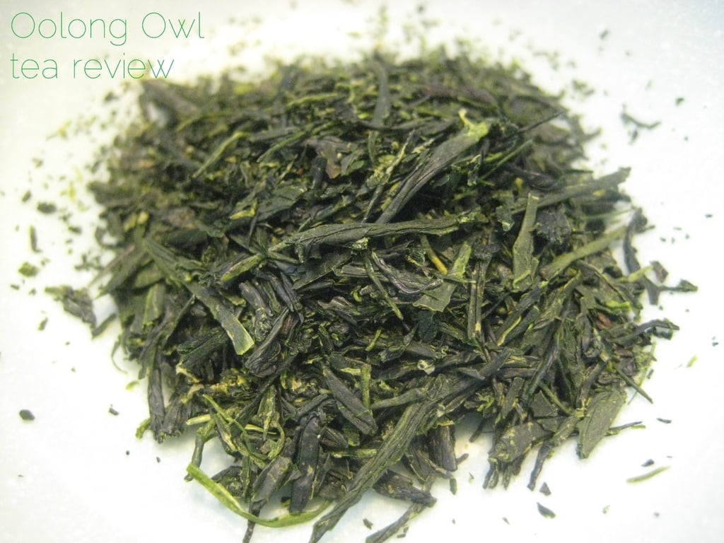 gyokuro kin from Dens Tea - Oolong Owl Tea Review (2)