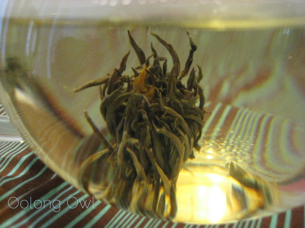Oolong Owls first blooming tea (10)