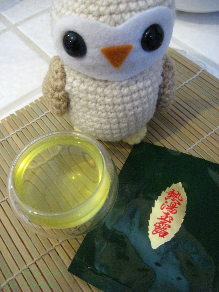 Gyokuro Standard Kurihara Tea via Yunomi us - Oolong Owl Tea Review (10)
