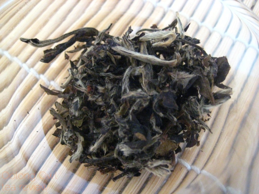 Mandarin Pu-er white tea from New Mexico Tea Co - Oolong Owl Tea Review (7)