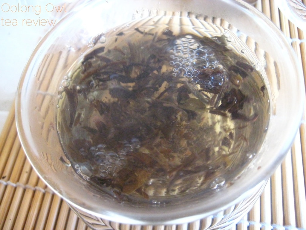 Mandarin Pu-er white tea from New Mexico Tea Co - Oolong Owl Tea Review (8)