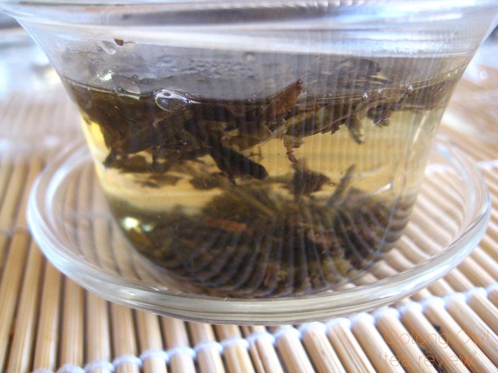 Mandarin Pu-er white tea from New Mexico Tea Co - Oolong Owl Tea Review (9)