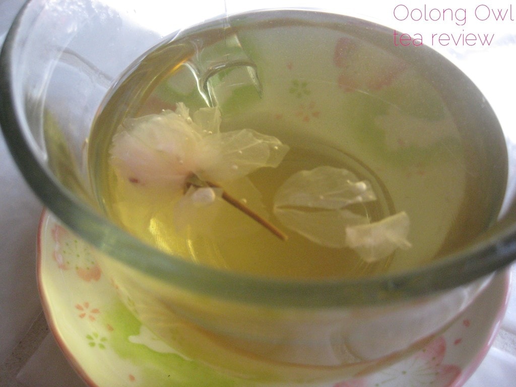 Sakura Tea from Yunomi us - Oolong Owl Tea Review (16)