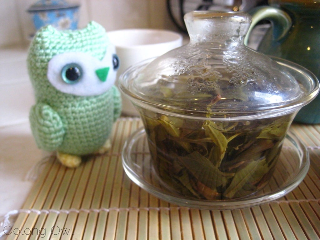 2013 Yiwu Spring Sheng Pu er from Misty Peak Teas - Oolong Owl Tea Review (11)