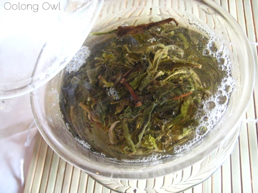 2013 Yiwu Spring Sheng Pu er from Misty Peak Teas - Oolong Owl Tea Review (5)