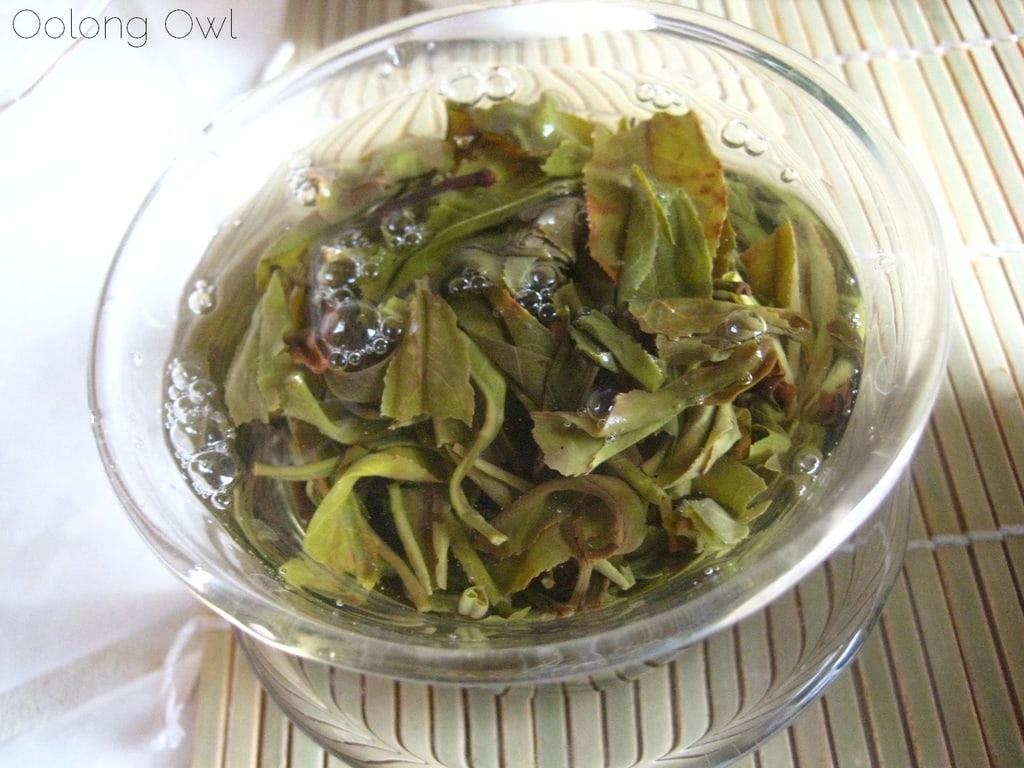 2013 Yiwu Spring Sheng Pu er from Misty Peak Teas - Oolong Owl Tea Review (7)