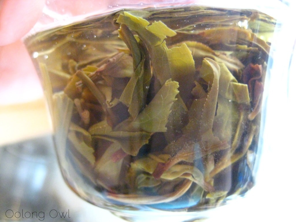 2013 Yiwu Spring Sheng Pu er from Misty Peak Teas - Oolong Owl Tea Review (8)