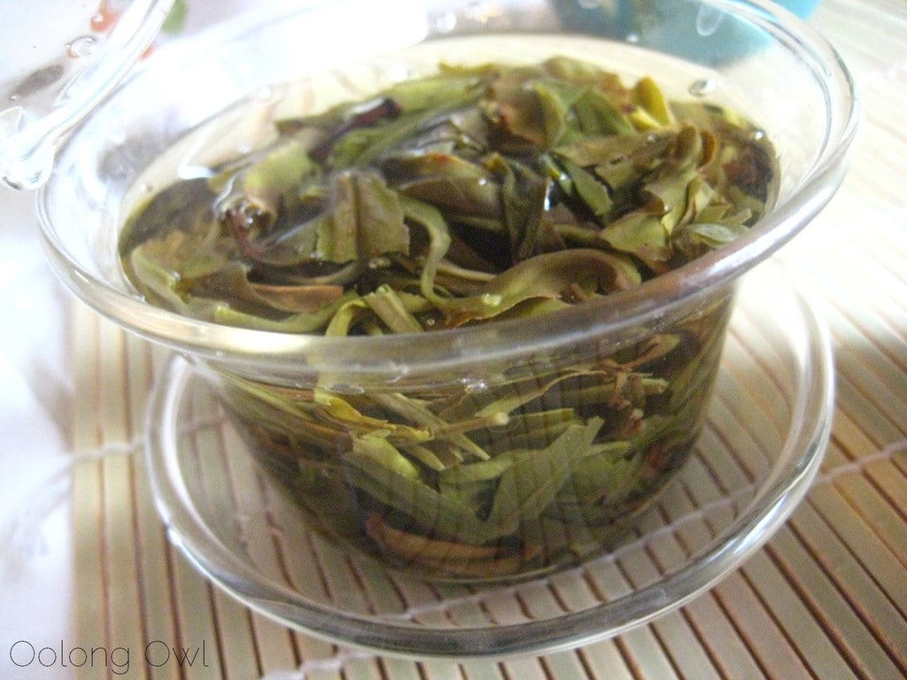 2013 Yiwu Spring Sheng Pu er from Misty Peak Teas - Oolong Owl Tea Review (9)