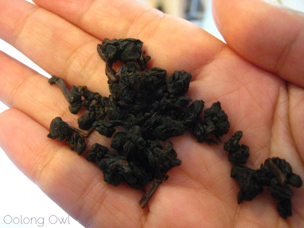 99 Oxidized Purple Oolong from Art of Tea - Oolong Owl Tea Review (3)