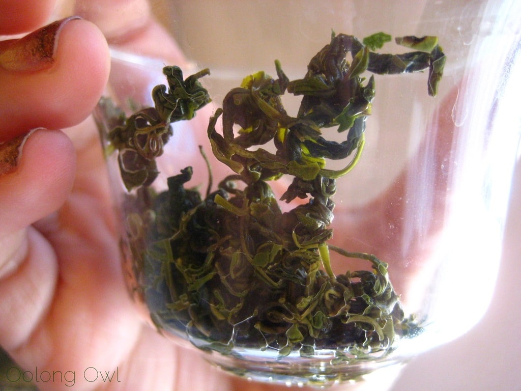 Autumn Harvest Laoshan Green from Verdant Tea - Oolong Owl tea review (4)