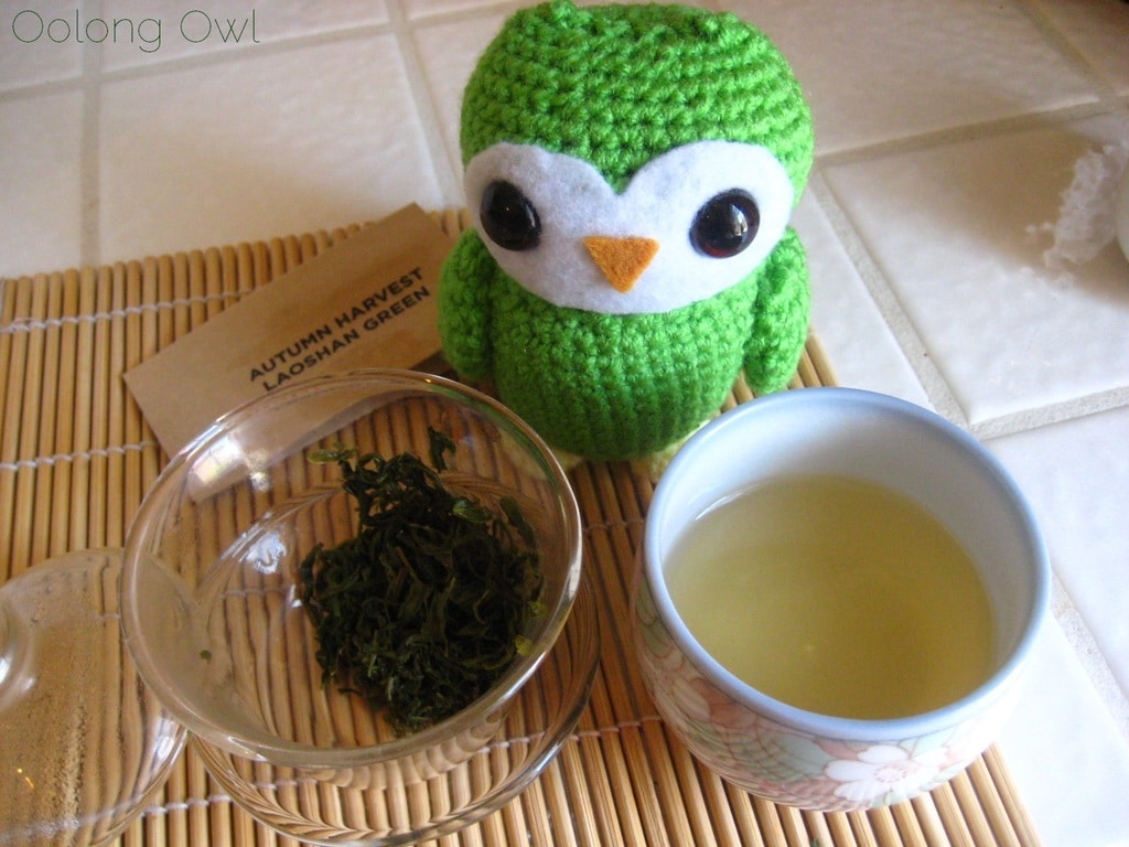 Autumn Harvest Laoshan Green from Verdant Tea - Oolong Owl tea review (6)