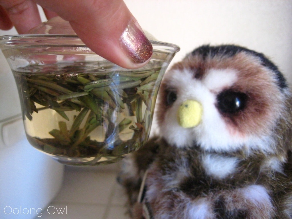 Organic Silver Needle White Tea from Teavivre - Oolong Owl Tea Review (10)