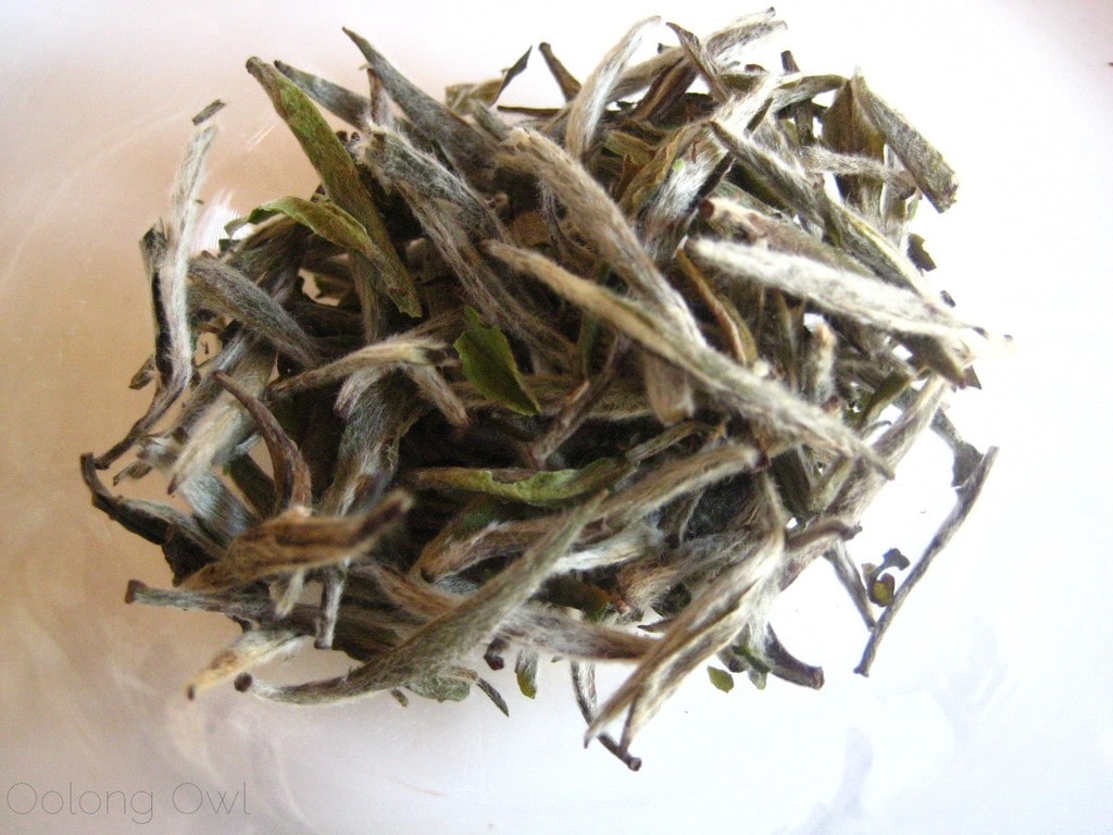 Organic Silver Needle White Tea from Teavivre - Oolong Owl Tea Review (2)