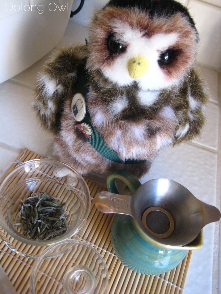 Organic Silver Needle White Tea from Teavivre - Oolong Owl Tea Review (4)