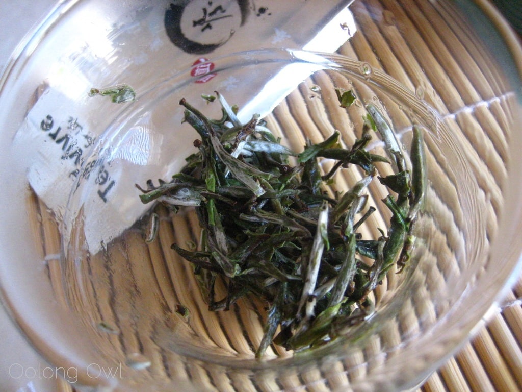 Organic Silver Needle White Tea from Teavivre - Oolong Owl Tea Review (5)