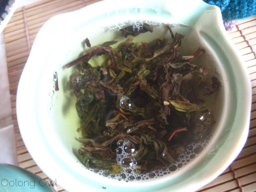 2012 Qui Yun Wild Arbor Raw Pu-er from Yunnan Sourcing - Oolong Owl Tea Review (10)