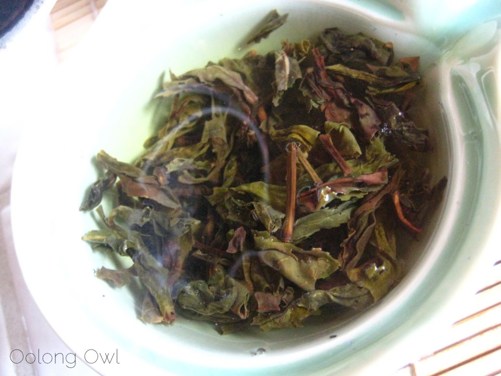 2012 Qui Yun Wild Arbor Raw Pu-er from Yunnan Sourcing - Oolong Owl Tea Review (11)