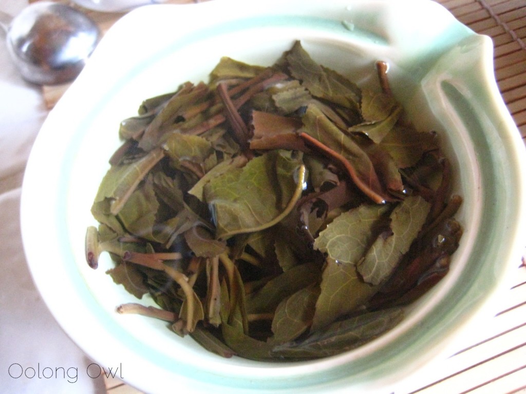 2012 Qui Yun Wild Arbor Raw Pu-er from Yunnan Sourcing - Oolong Owl Tea Review (17)