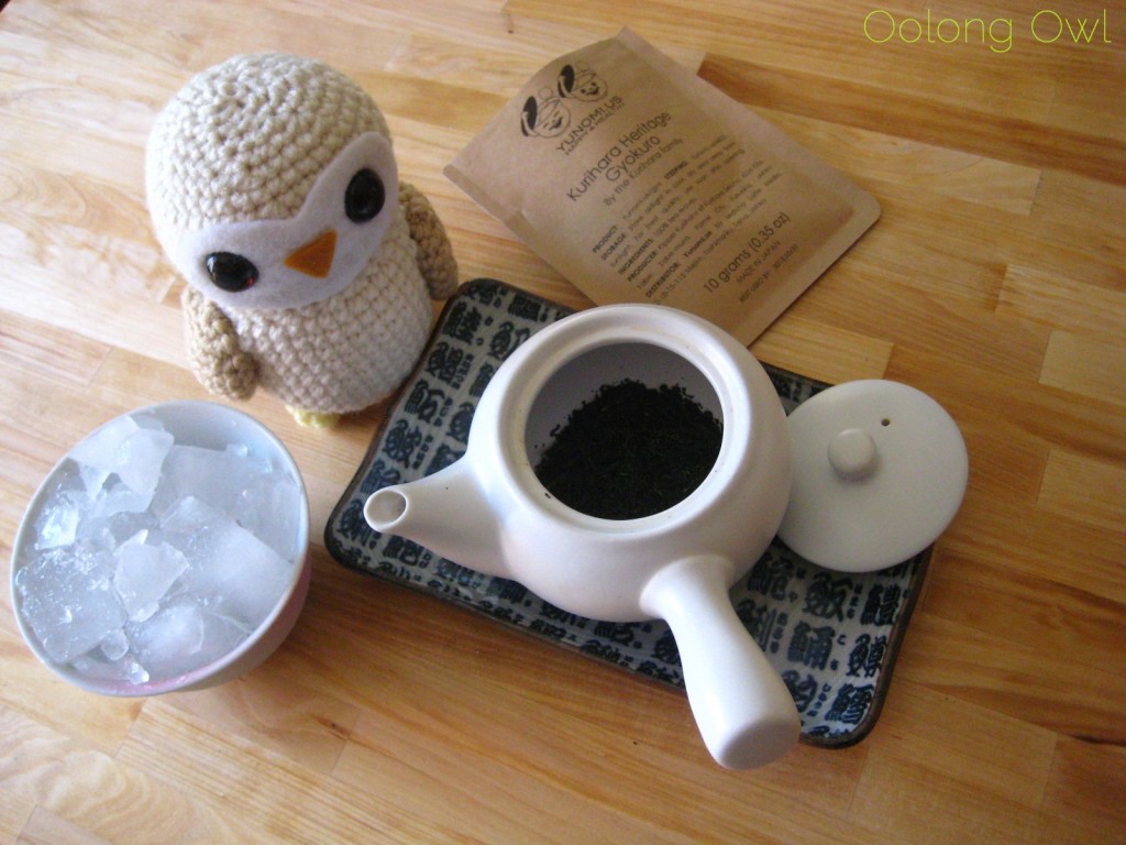 Ice Steeping Tea - Oolong Owl (5)
