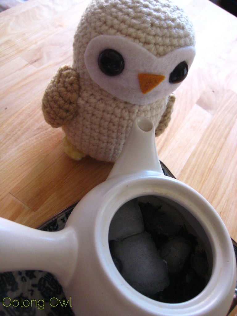 Ice Steeping Tea - Oolong Owl (8)