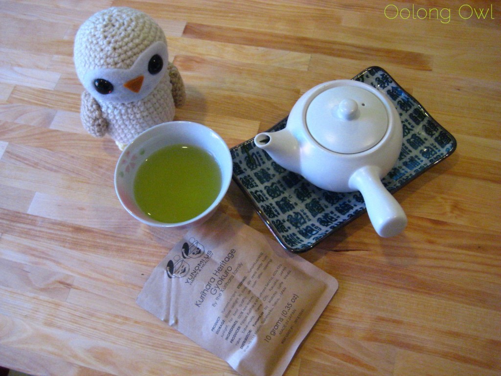 Ice Steeping Tea gyokuro- Oolong Owl  (2)