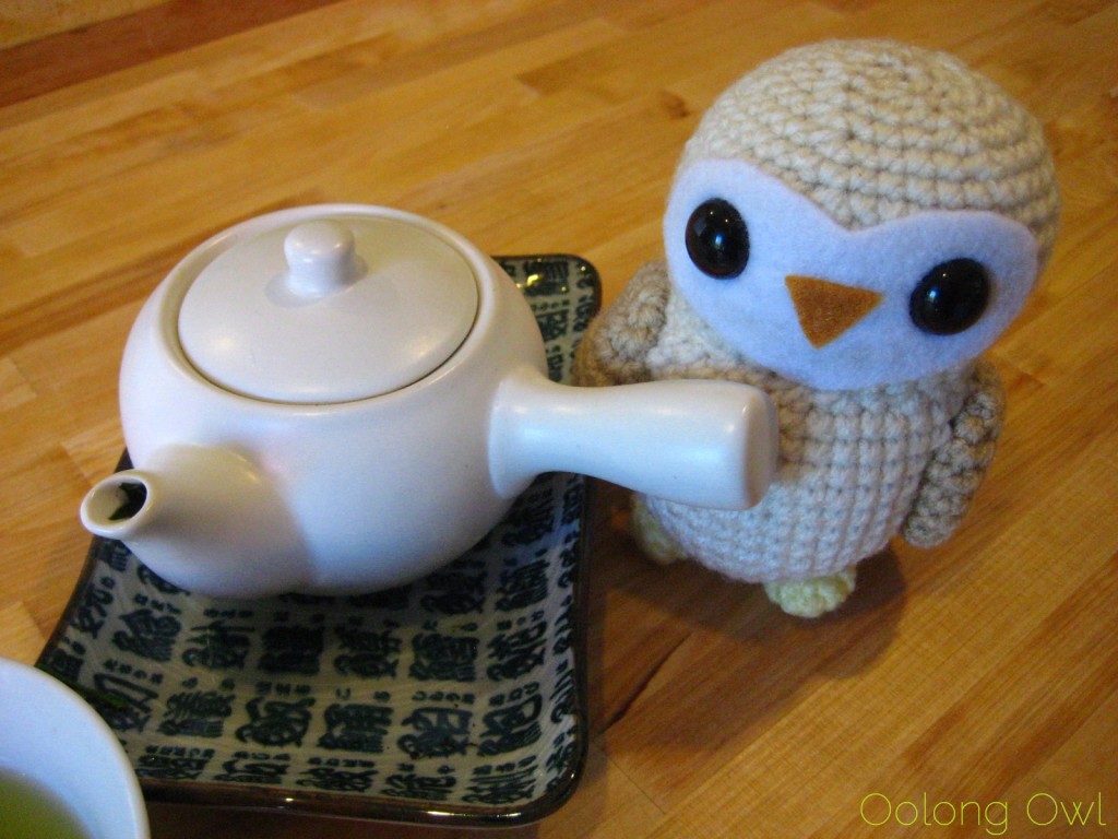 Ice Steeping Tea gyokuro- Oolong Owl  (3)