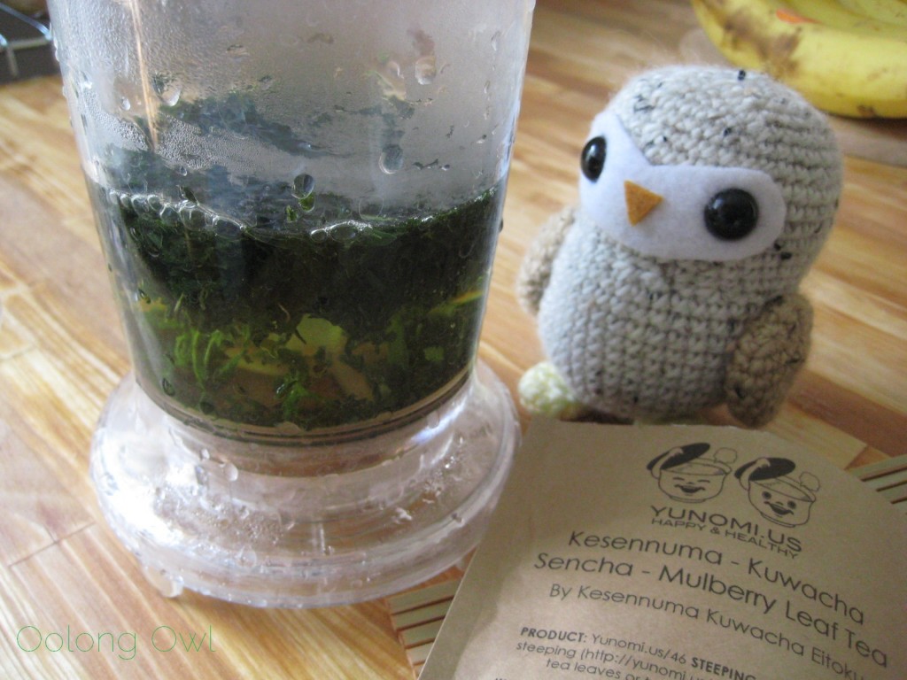 Kuwacha Sencha Mulberry Leaf Tea from Kesennuma Kuwacha Eitoku and Yunomi - Oolong Owl Tea Review (5)