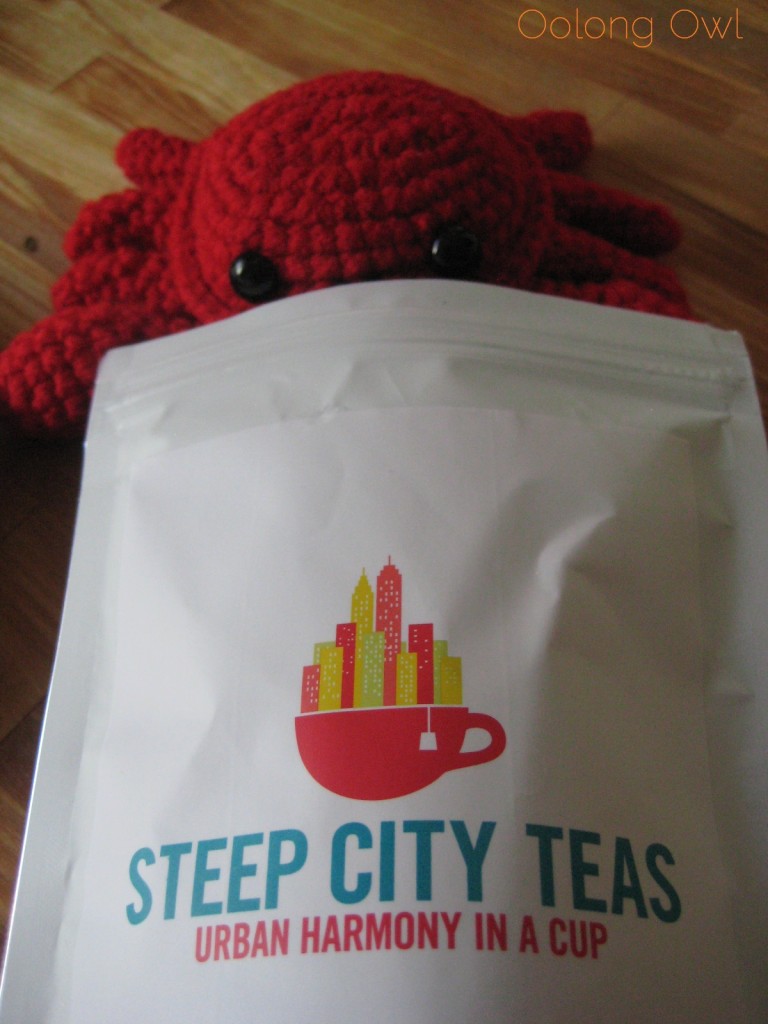 Orange Glam from Steep City Teas - Oolong Owl Tea Review (3)