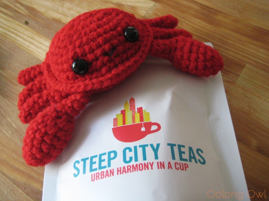 Orange Glam from Steep City Teas - Oolong Owl Tea Review (4)