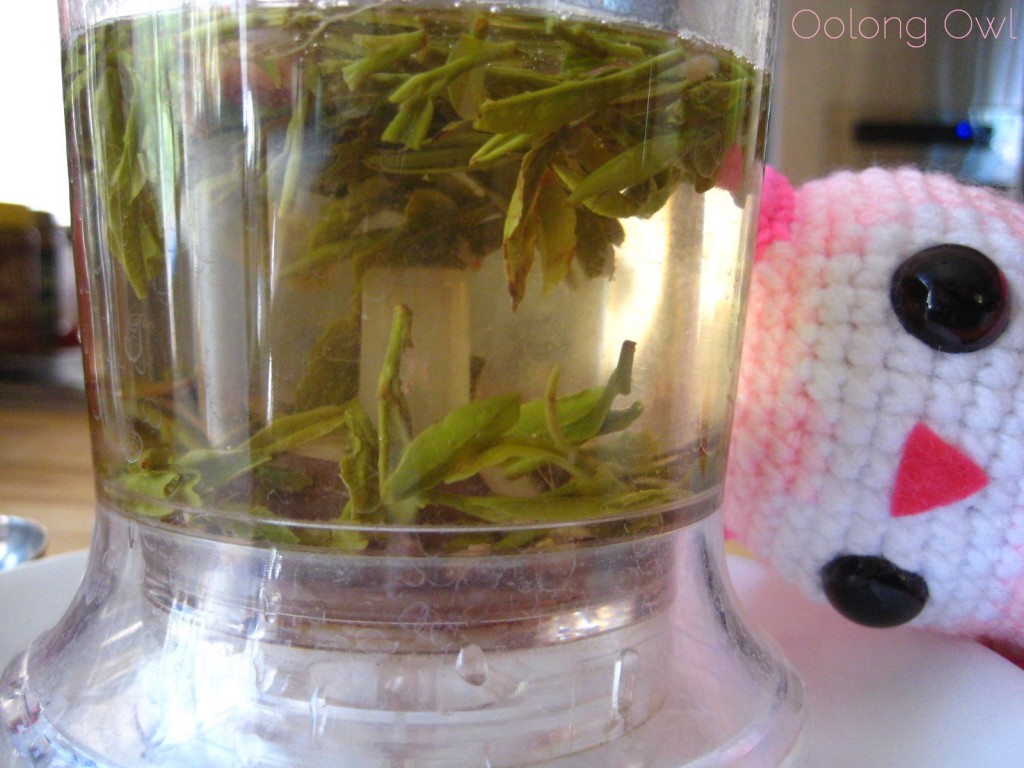 With Open Eyes from Butiki Teas - Oolong Owl Tea Review (7)