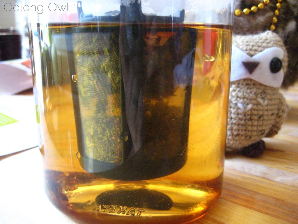 Takeya Flash Chill Iced Tea Maker - Oolong Owl Tea ware review (16)