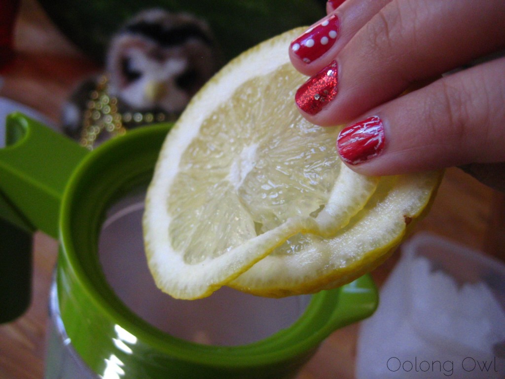 Takeya Flash Chill Iced Tea Maker - Oolong Owl Tea ware review (21)