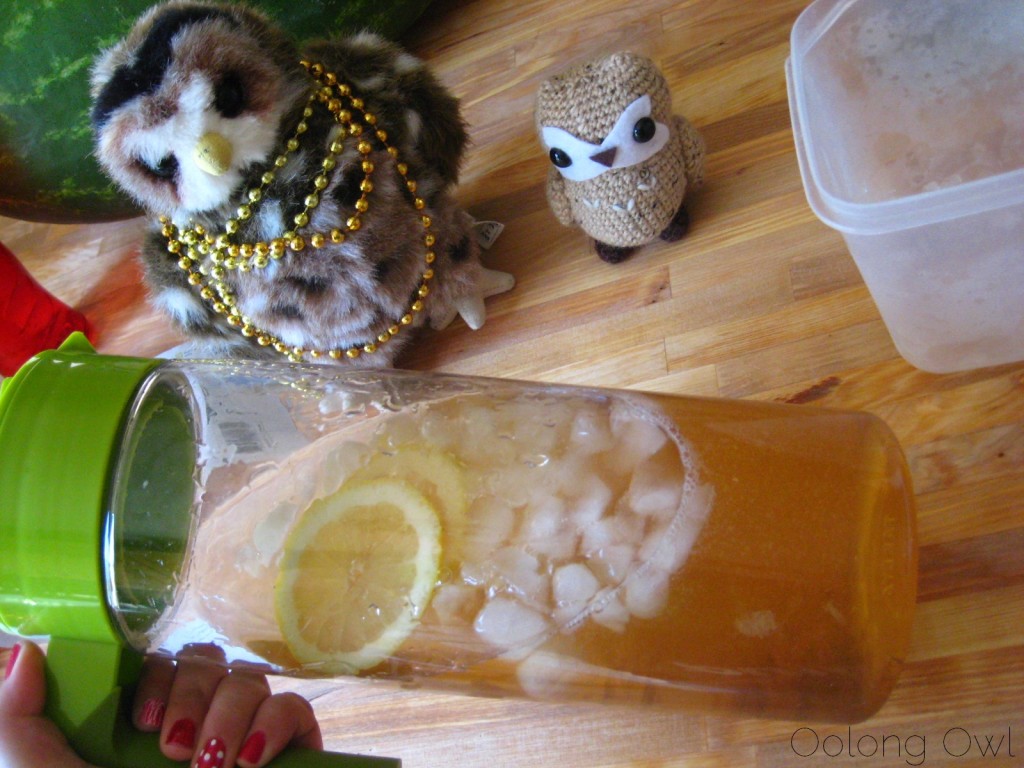 Takeya Flash Chill Iced Tea Maker - Oolong Owl Tea ware review (24)