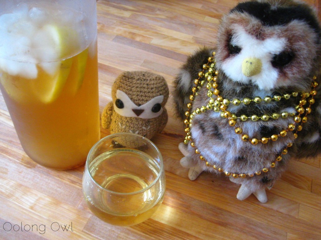 Takeya Flash Chill Iced Tea Maker - Oolong Owl Tea ware review (27)
