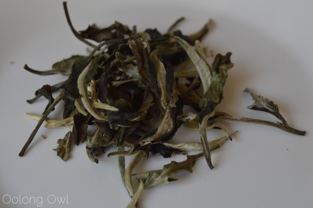 White Peony 2013 from Mandala Tea - Oolong Owl Tea Review (1)