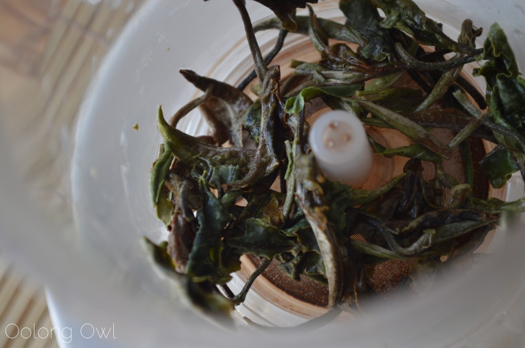 White Peony 2013 from Mandala Tea - Oolong Owl Tea Review (7)