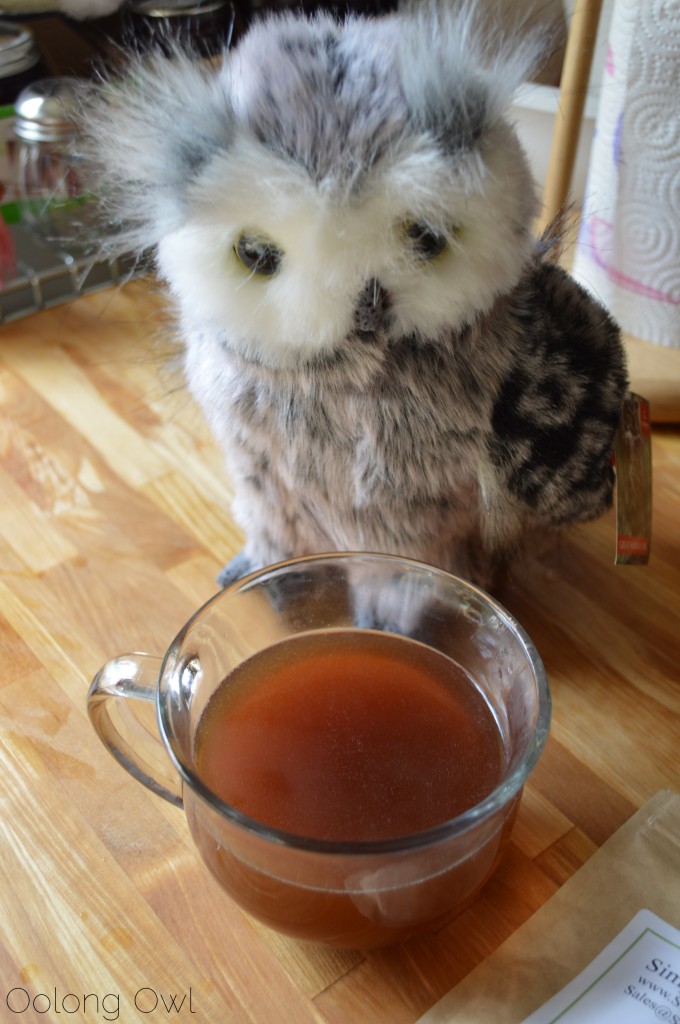 Cocoa Creme Black tea from Simple Loose Leaf - Oolong Owl Tea Review (6)