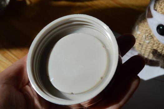 Glass Tea Thermos from Mandala Tea - Oolong Owl tea review (3)