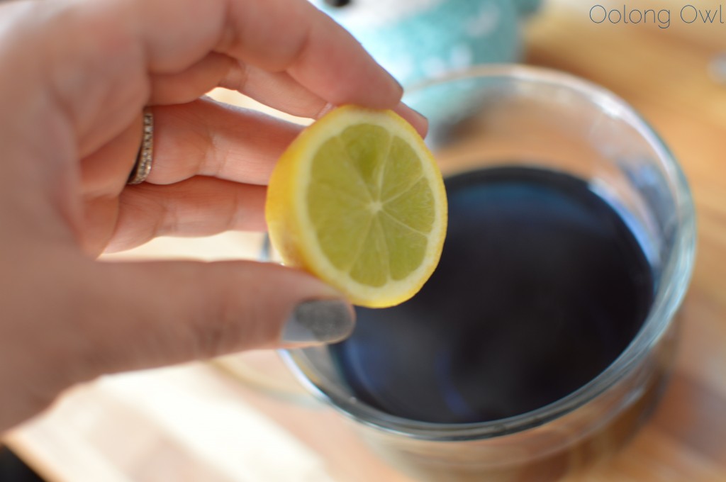 BlueChai organic herbal blue tea - Oolong Owl Tea Review (12)