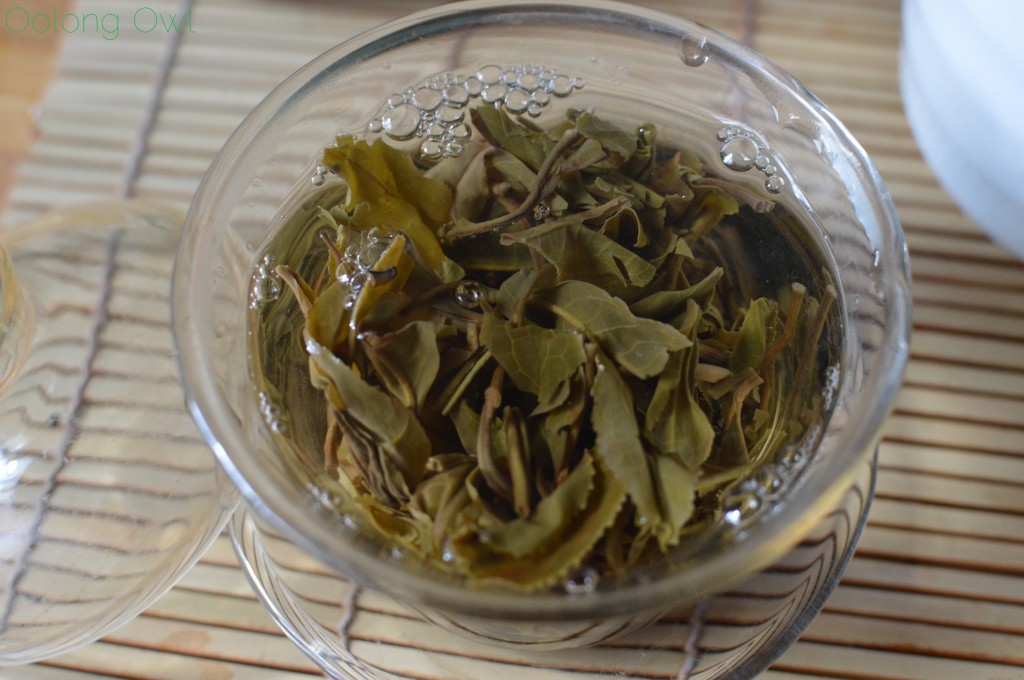 Nan Nuo Mountain from Jalam Teas - Oolong Owl Tea Review (11)