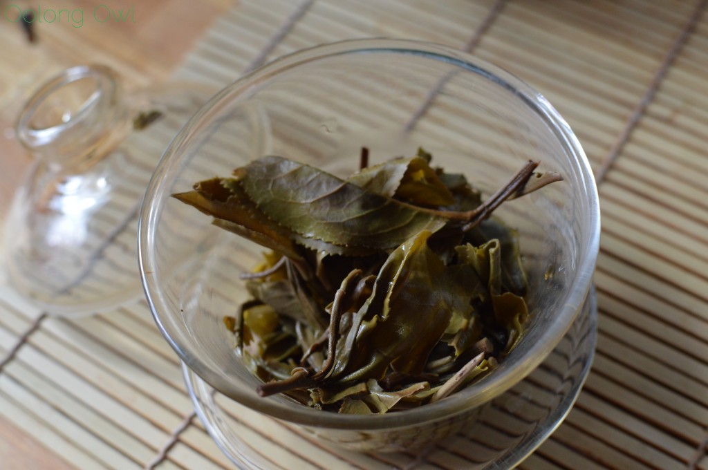 Nan Nuo Mountain from Jalam Teas - Oolong Owl Tea Review (12)