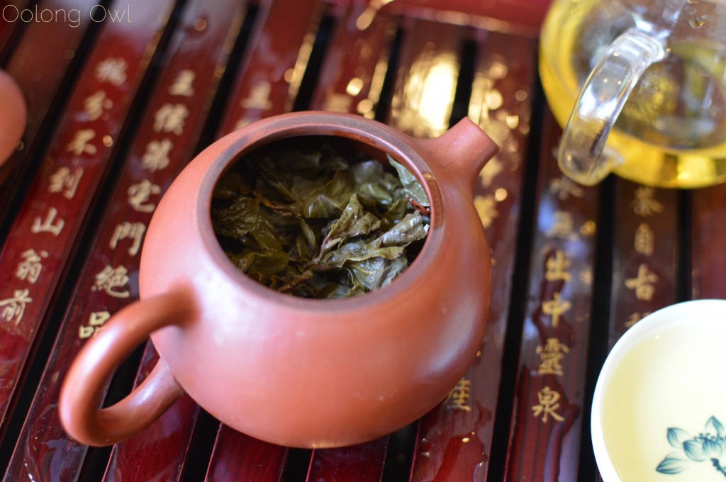 dongding oolong single origin teas - oolong owl tea review (1)