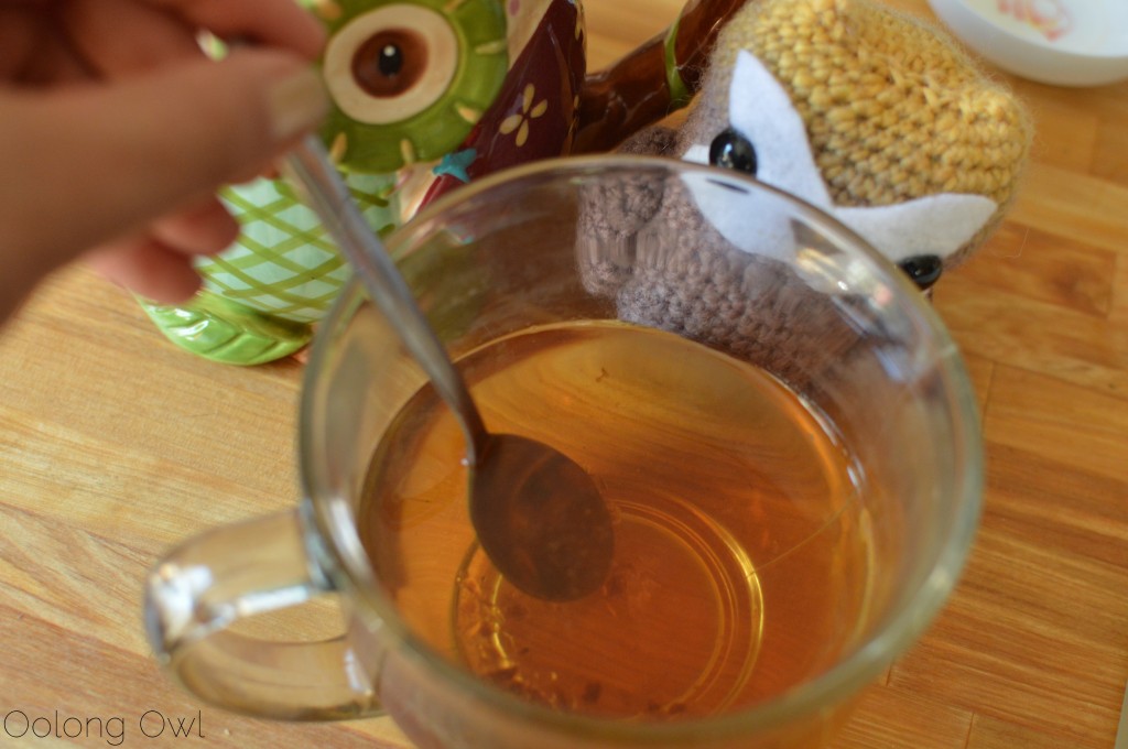 pumpkin milkshake 2 from butiki teas - oolong owl tea review (7)
