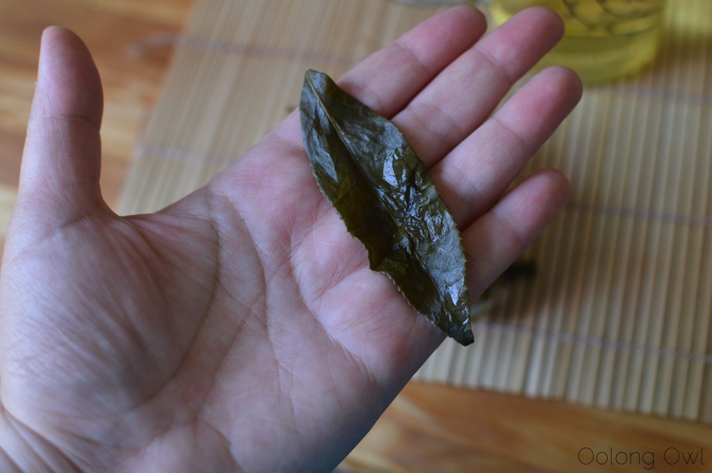 taiwan alishan high mountain oolong from cameron tea - oolong owl tea review (7)