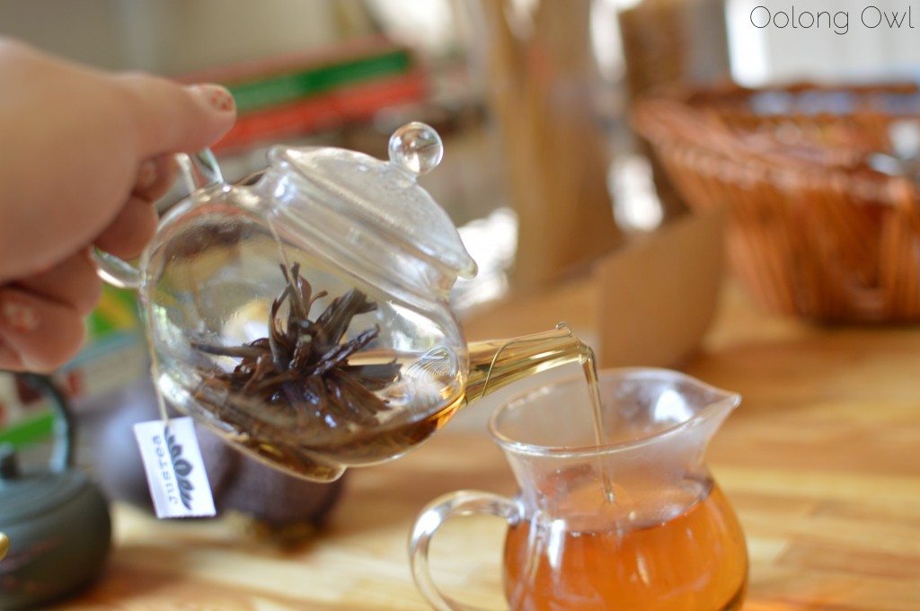 tea star from justea - oolong owl tea review (21)