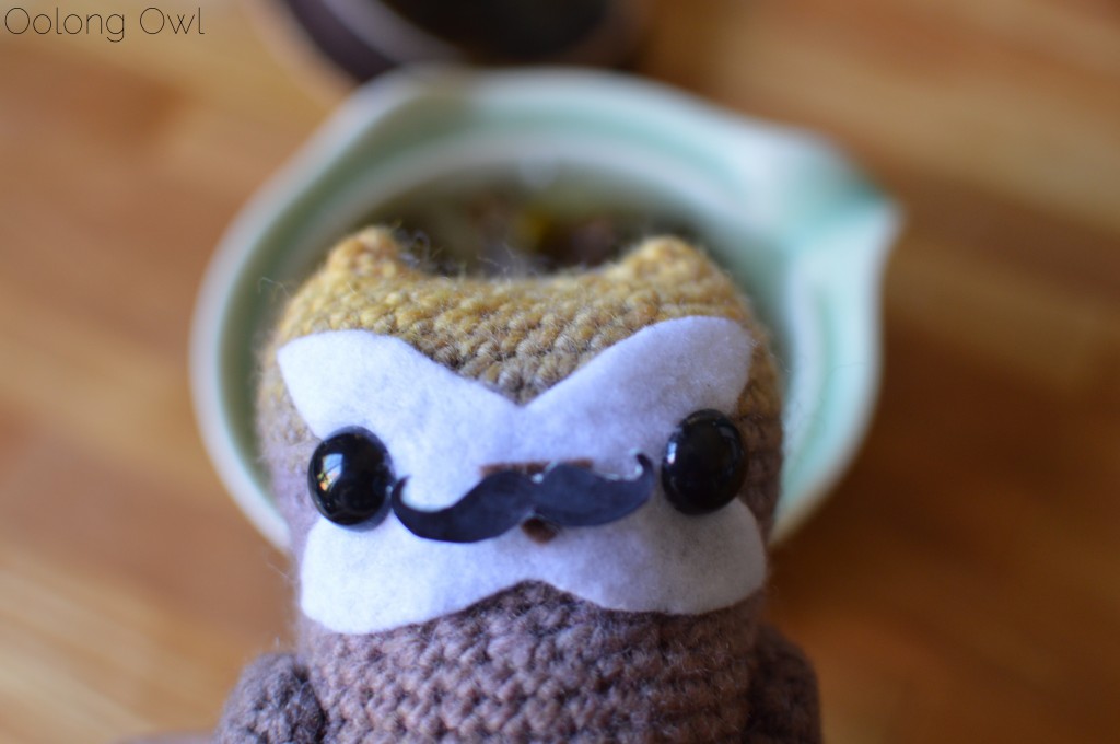 2014 new amerykah 2 pu'er - oolong owl tea review (10)